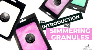 An Introduction to Simmering Granules