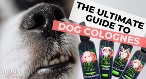 The Ultimate Guide to Dog Colognes: Safety, Benefits & How to Keep Your Dog Smelling Amazing